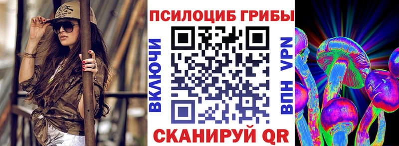 хочу   гидра ссылка  Псилоцибиновые грибы Magic Shrooms  Тында 