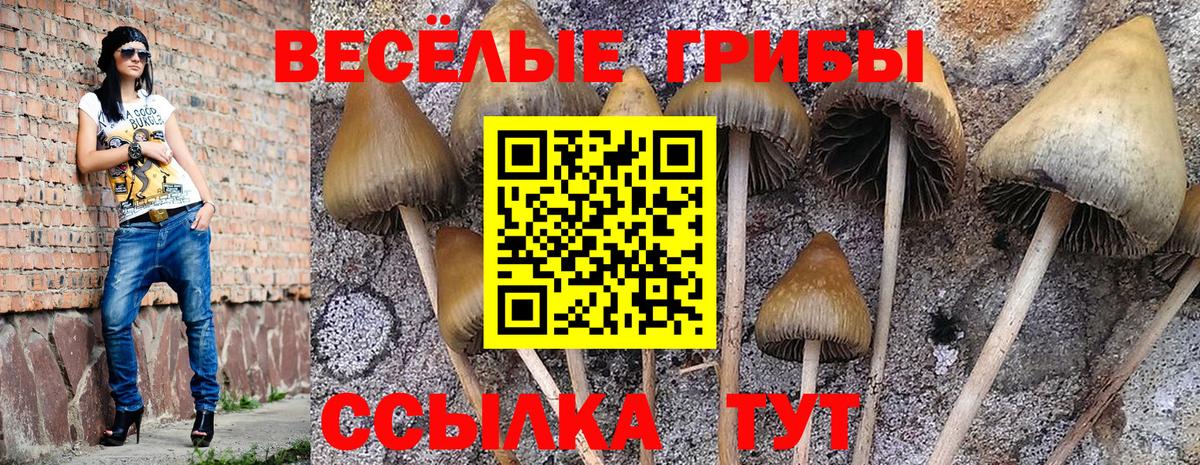 Галлюциногенные грибы Psilocybe  Псилоцибиновые грибы Cubensis  Тында 